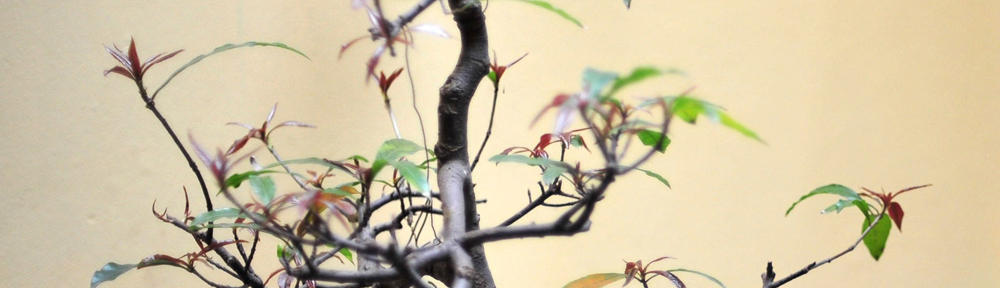 Fast-Media // Medienagentur in Alpen (Niederrhein) Rheinberg // Webdesign – Internetseiten – Printdesign – Public Relations – Druck – Motorsport